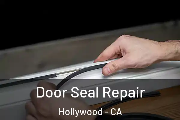 Door Seal Repair Hollywood - CA