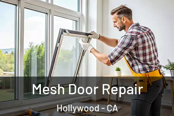  Mesh Door Repair Hollywood - CA
