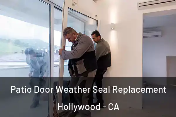  Patio Door Weather Seal Replacement Hollywood - CA